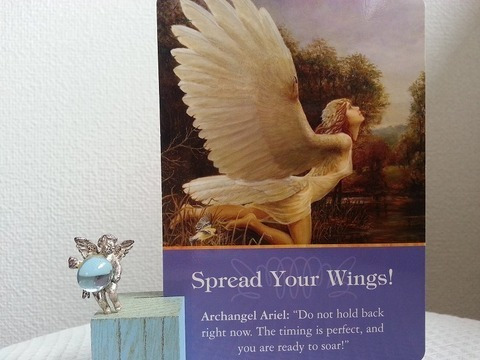 Spread Your Wings!